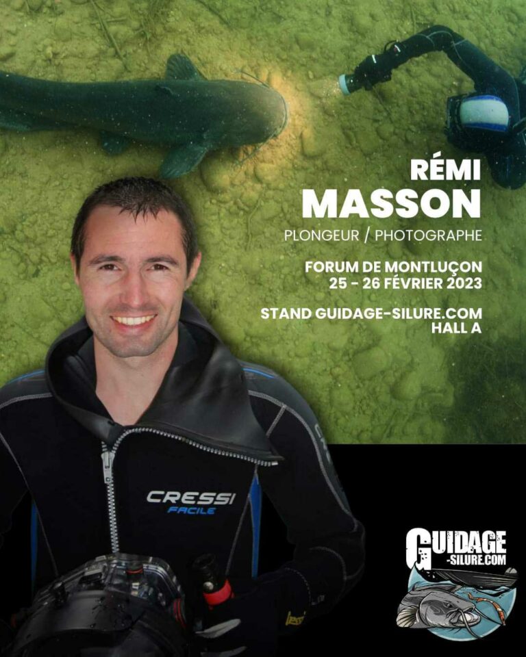 remi-masson