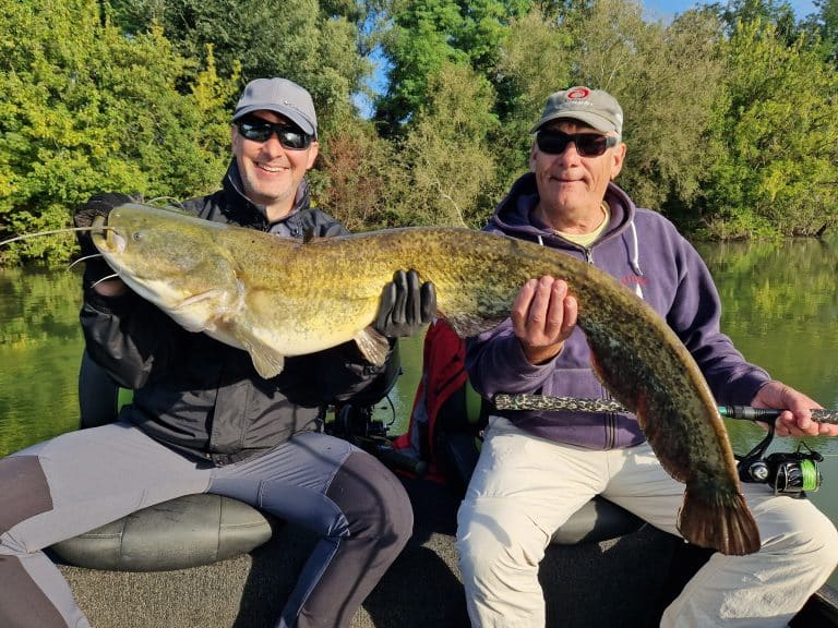 grande peche au silure sur le tarn (3)