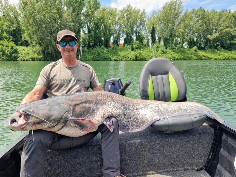 record de silures pour Nicolas (4)