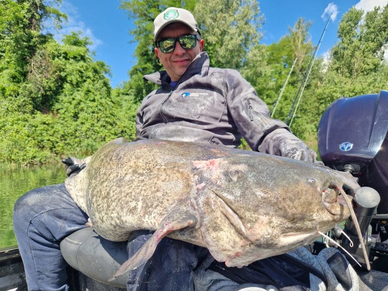 silures pêchés par Alfredo (3)