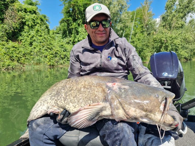 silures pêchés par Alfredo (4)