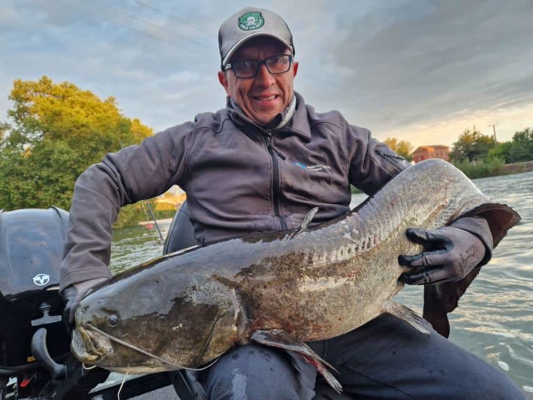 silures pêchés par Alfredo (6)