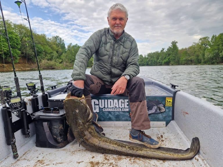 record de peche au silure pour francois (1)